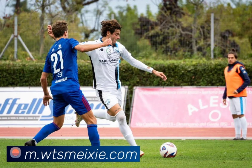 星空网网页版入口服务体系