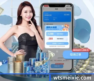 星空网网页版入口 APP